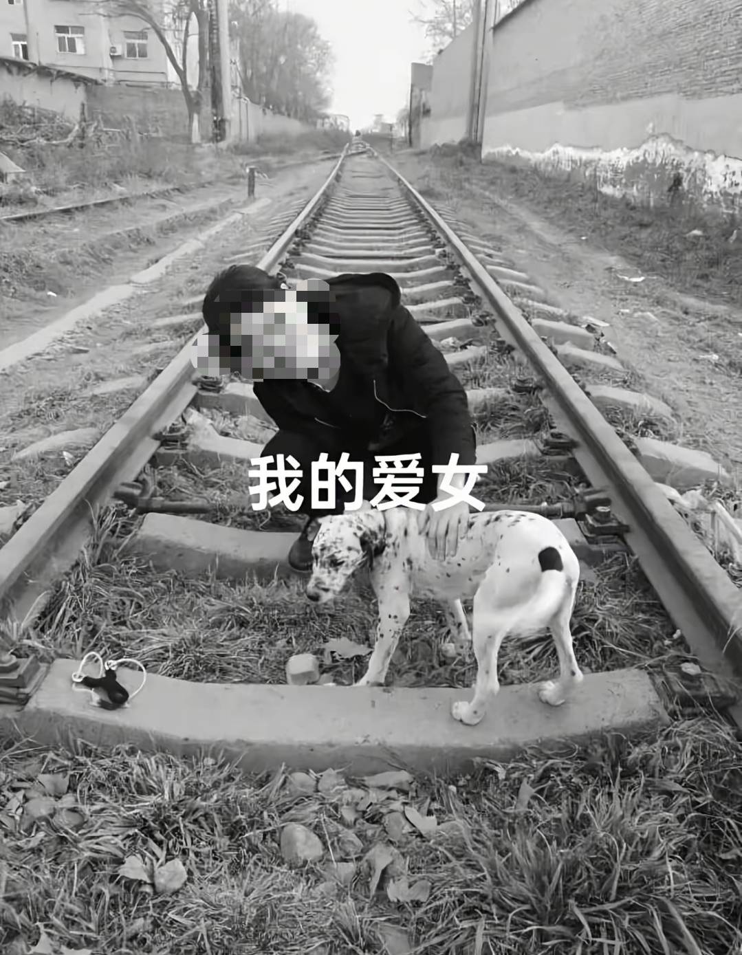 墨尔本骑士 v 欧克莱卡诺_陕西一护士被同居男友杀害墨尔本骑士 v 欧克莱卡诺，日记称长久遭受暴力威胁，家属希望追加虐待罪名，最新进展