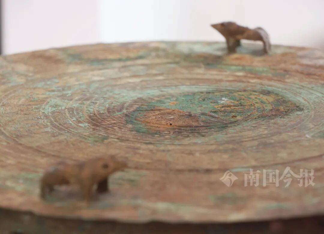 皇冠信用需要押金吗_柳州钓鱼阿叔竹林挖蚯蚓皇冠信用需要押金吗，竟挖出千年前的“大宝贝”！